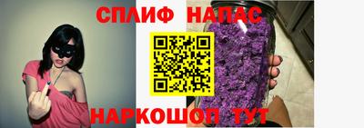 стаф Кунгур