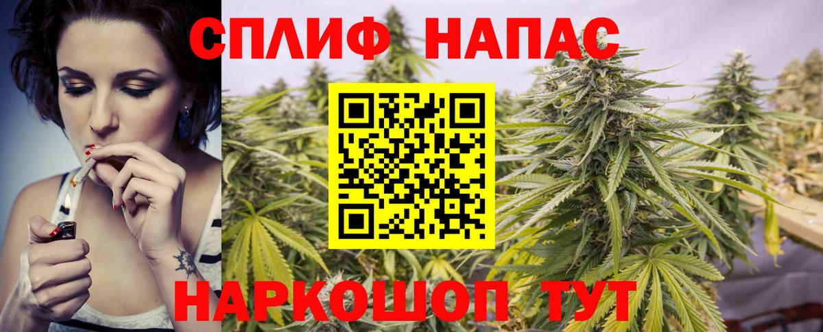 Марихуана Amnesia Гуково